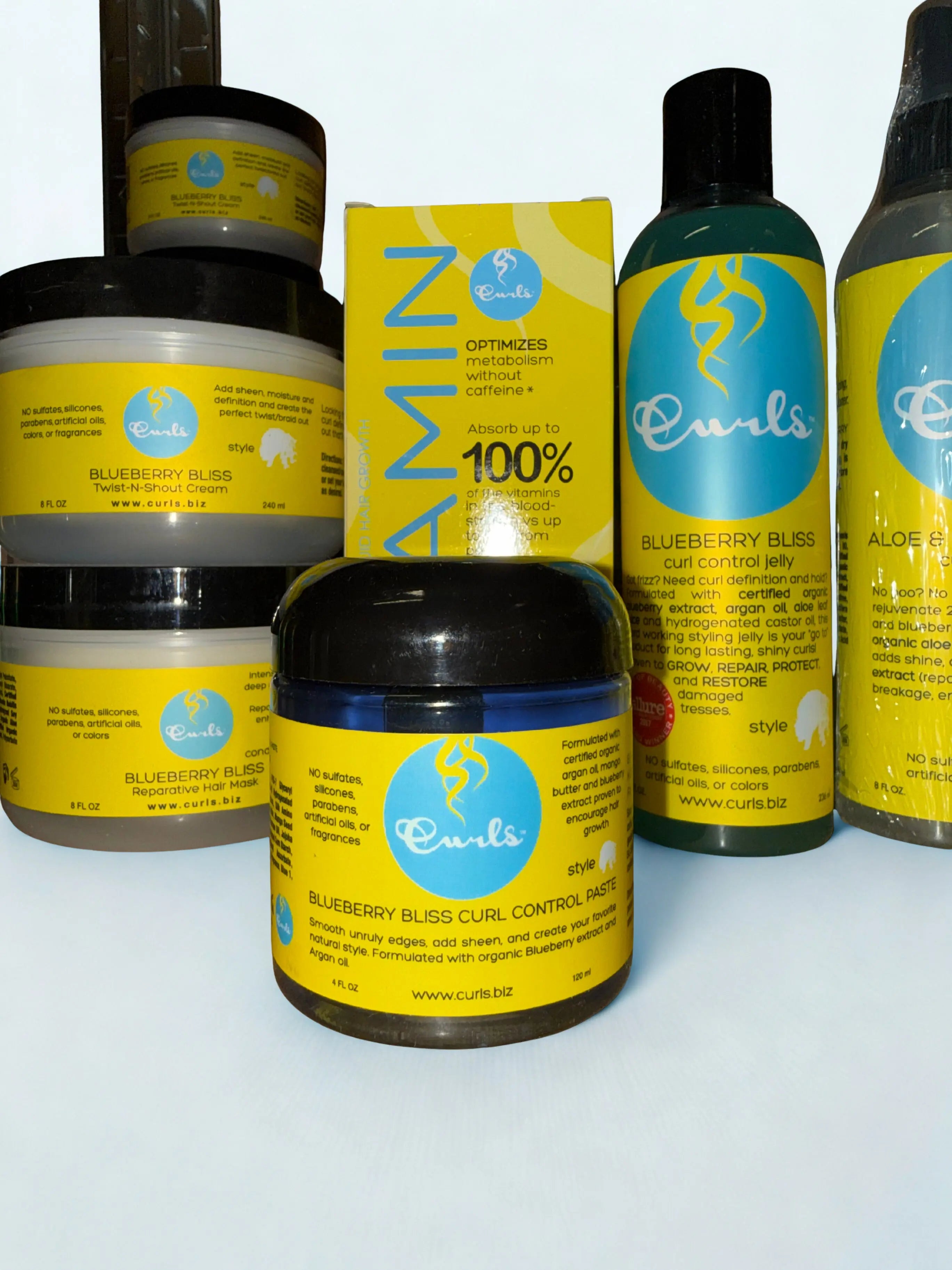 Curls Blueberry Bliss CURL Control Paste 4 oz